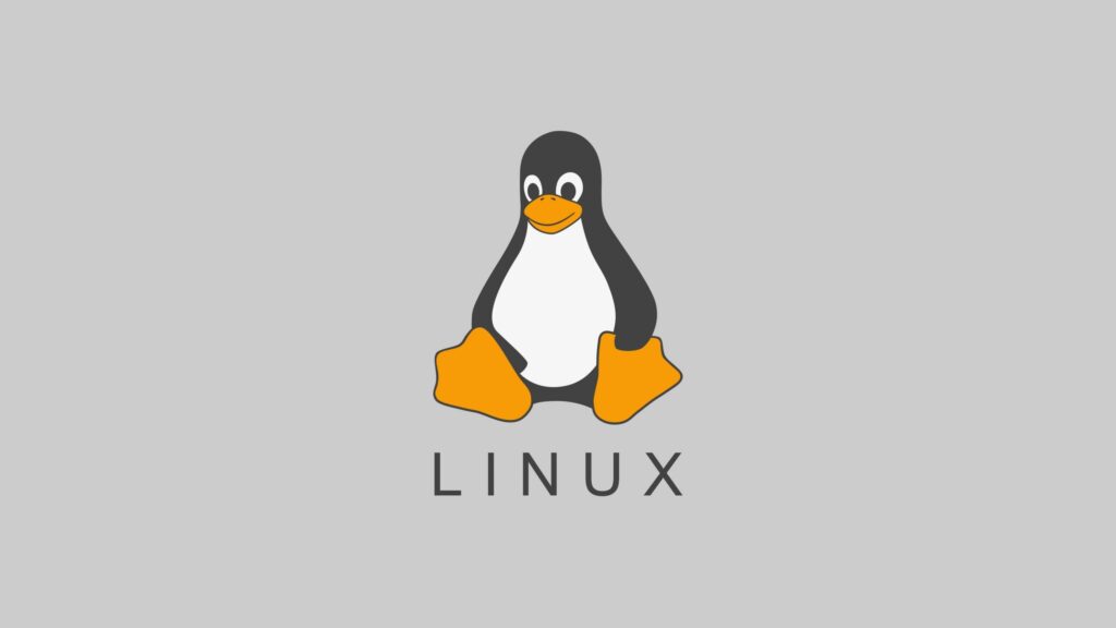 linux komutları