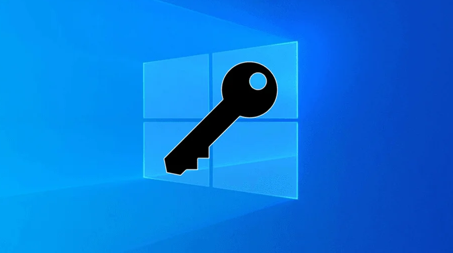 OEM Lisans ve Retail Lisans Nedir